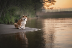 iStock-2213742344.jpg