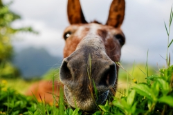 iStock-877201210.jpg