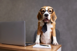 iStock-2194631047 (1).jpg