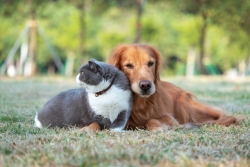 iStock-1437852246.jpg