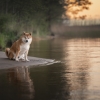 iStock-2213742344.jpg