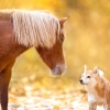 iStock-1056319418.jpg