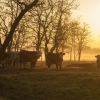 iStock-500768359.jpg