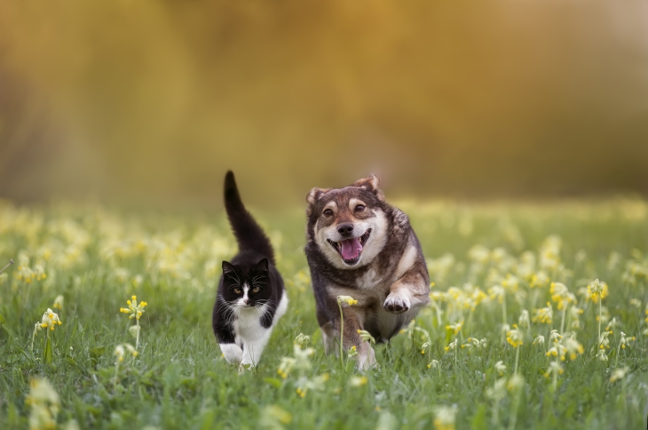 iStock-1845512048 (2).jpg
