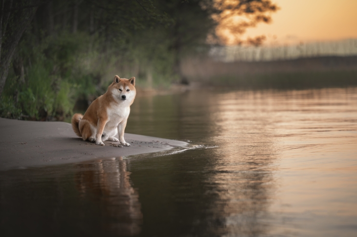 iStock-2213742344.jpg