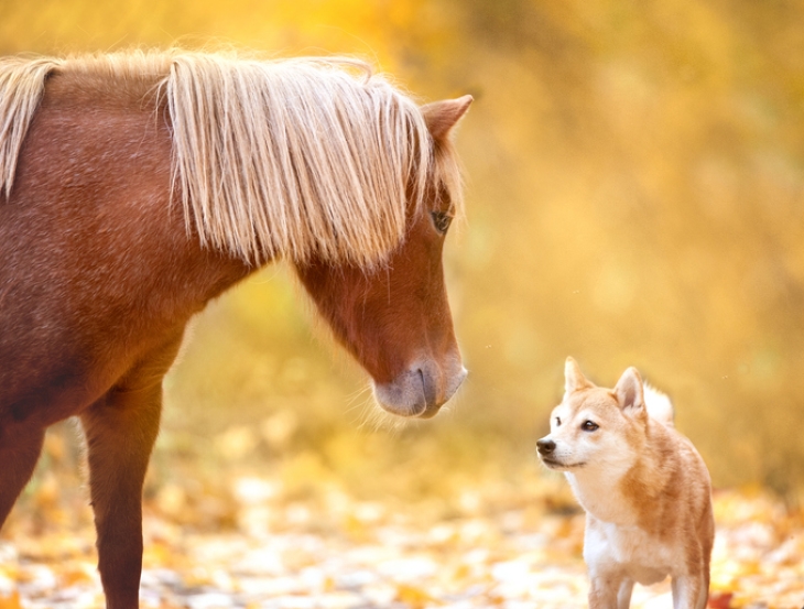 iStock-1056319418.jpg