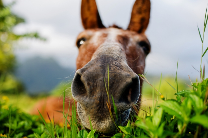 iStock-877201210.jpg