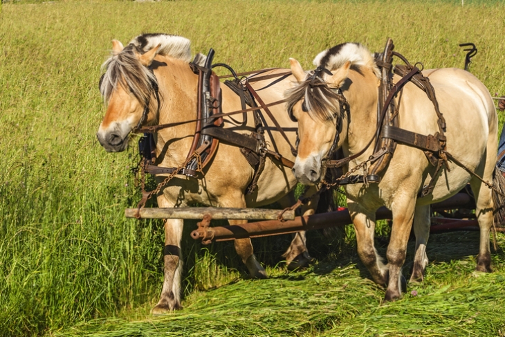 iStock-2177386087 (1).jpg
