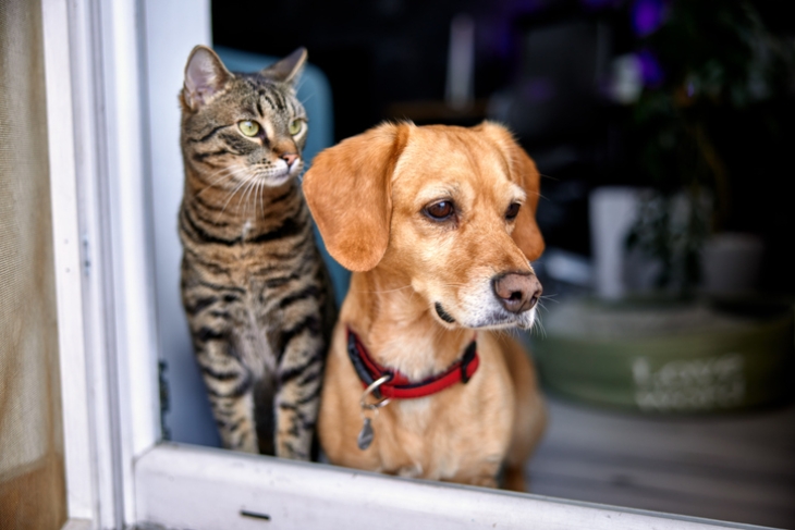 iStock-1364253107 (1).jpg