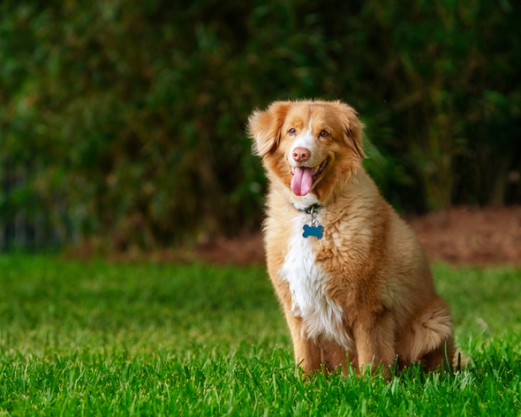 iStock-2195319100 (1).jpg