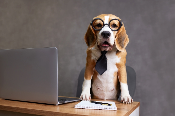 iStock-2194631047 (1).jpg