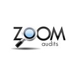 Zoom Audits