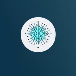 Infectious Disease Specialists, LLC