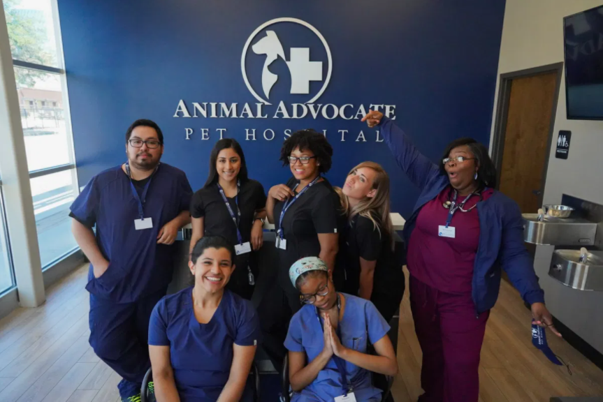 Veterinarian (Small Animal) in Chicago, Illinois at Animal Advocate Pet  Hospital · Veterinarian Careers