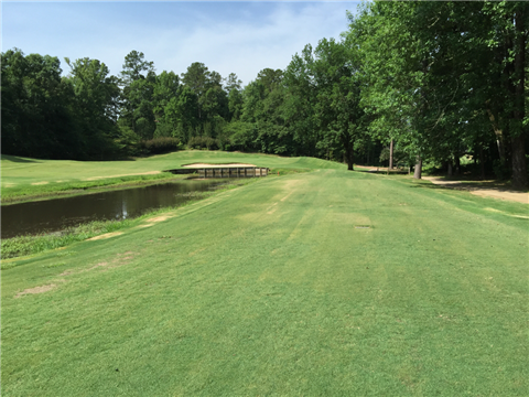 Healy Point CC