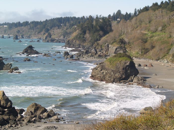 Arcata Stock