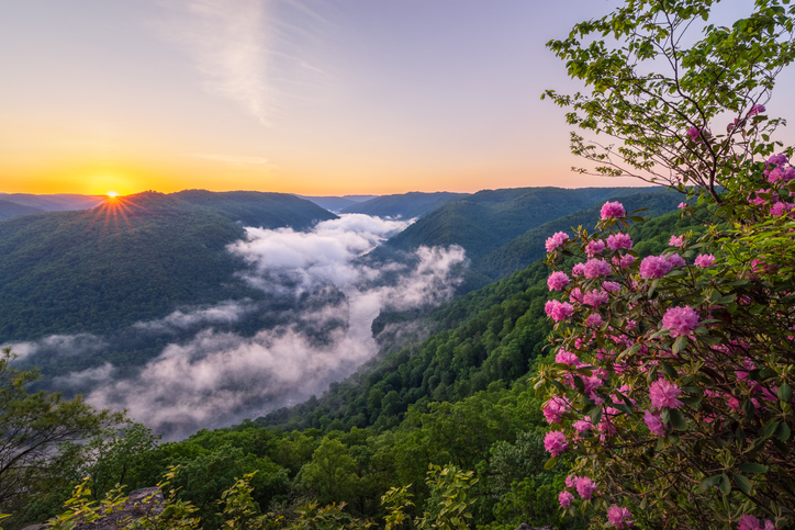 Kingwood WV Preston